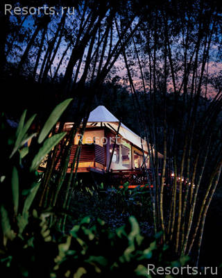 Four Seasons Tented Camp Golden Triangle 8